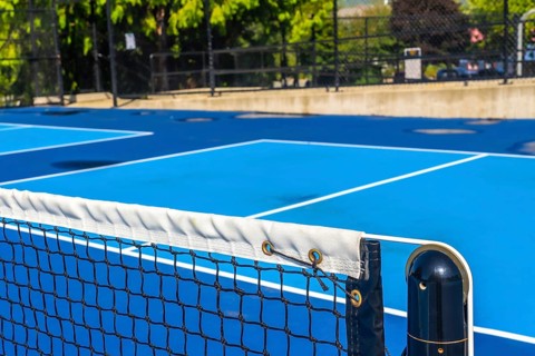 Pickleball net and an empty blue court await eager players on a bright sunny day, creating an