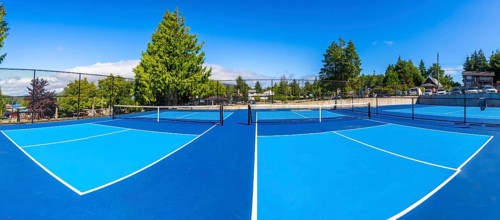 Two empty pickleball courts featuring blue surfaces and black nets are bathed in sunlight on a