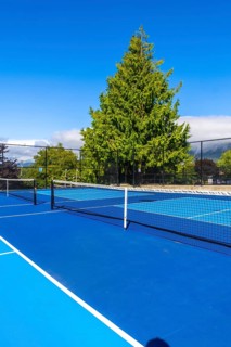 Pickleball court with blue surface and white lines, net, and metal fence basking in sunlight on a