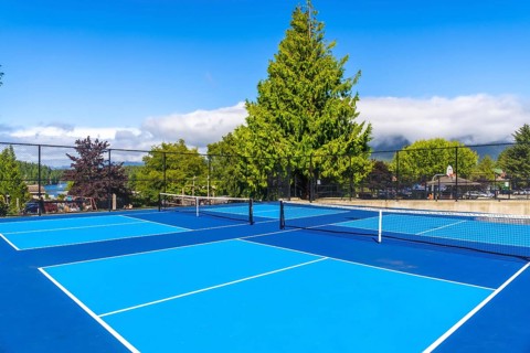 Vibrant blue pickleball courts basking in sunlight, inviting friendly matches on a beautiful summer
