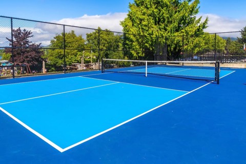 Pickleball court with net on a sunny day, showing a nearby playground in the background, offering a