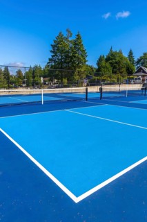 Empty outdoor pickleball courts feature a striking blue playing surface, white boundary lines, and