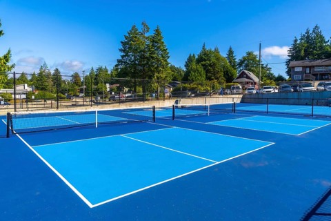 Four vibrant blue pickleball courts, featuring nets and white lines, sit empty under a clear blue