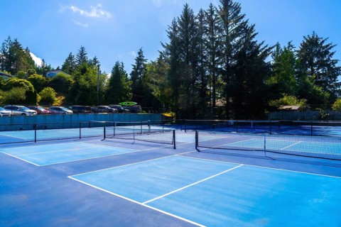 Sunlight streaming across empty pickleball courts on a clear summer day, inviting players to engage