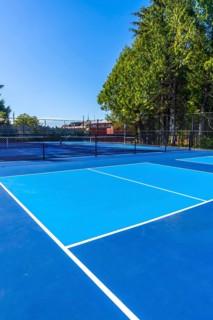 White lines marking vibrant blue pickleball courts create an inviting scene under a sunny sky,