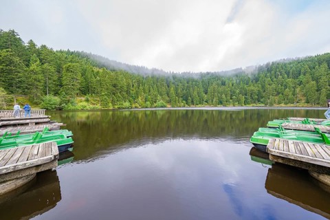 Calm lake surrounded by green trees and mountains with boats in the foreground, Mummelsee, Seebach,