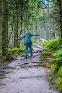 A hiker walks up a stony path surrounded by a green forest, Mummelsee, Seebach, Ortenau district,