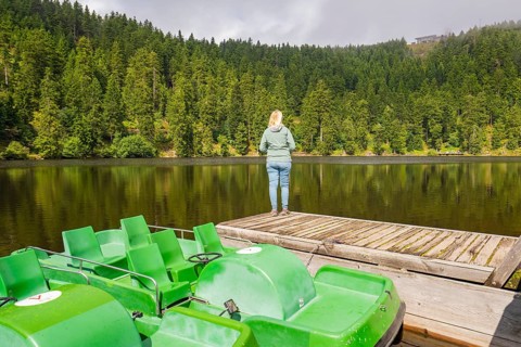 Pedal boats and a person on a jetty on the lakeshore, surrounded by forest, Mummelsee, Seebach,