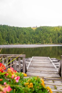 A wooden footbridge leads to a lake, colourful flowers in the foreground, Mummelsee, Seebach,