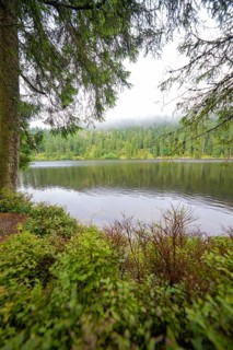 A misty lake surrounded by dense green vegetation and forests, Mummelsee, Seebach, Ortenau