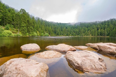 Rocks in the clear water of a lake, surrounded by dense forest and slightly cloudy sky, Mummelsee,