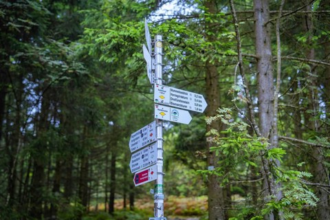 A detailed signpost shows various directions in the middle of a forest, Mummelsee, Seebach, Ortenau