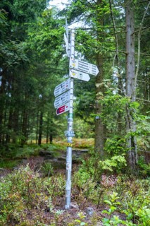 A signpost with several signs stands in a dense forest for orientation, Mummelsee, Seebach, Ortenau