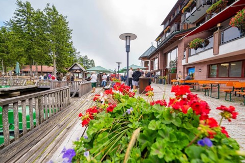 Bright flowers in the foreground of a terrace with people in a tourist area, Mummelsee, Seebach,