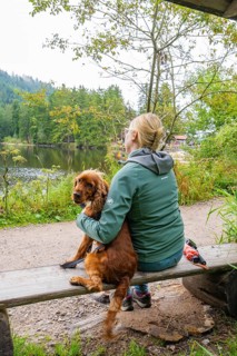Woman sitting with her dog on a bench by the lake in nature, Mummelsee, Seebach, Ortenau district,