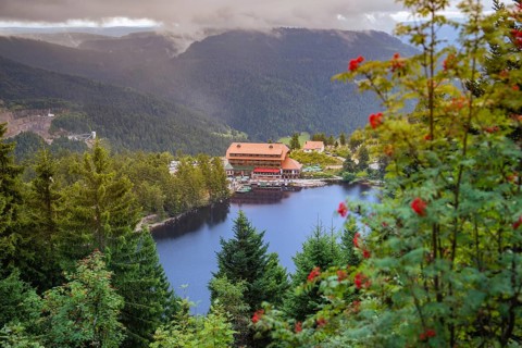 Picturesque view of a lake and wooded mountains with a hotel on the shore, flowers in the