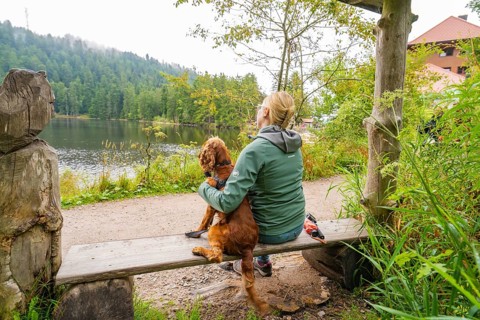 Woman with dog on a bench by the lake in the countryside, relaxed atmosphere in nature, Mummelsee,