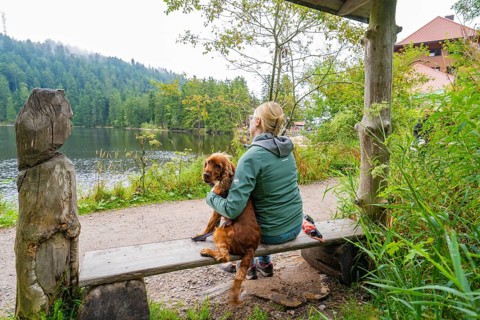 Woman sitting with dog on a bench by the lake in the forest and enjoying the tranquillity of