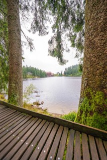 A wooden path along a lake, framed by two trees, Mummelsee, Seebach, Ortenau district, Black