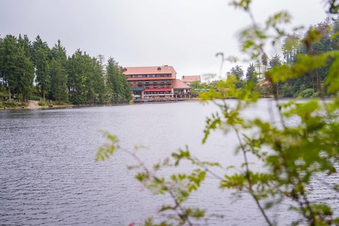 A building by the lake, slightly obscured by plants in the foreground, Mummelsee, Seebach, Ortenau