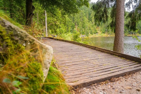 A wooden path leads through the forest along a lakeshore, Mummelsee, Seebach, Ortenau district,