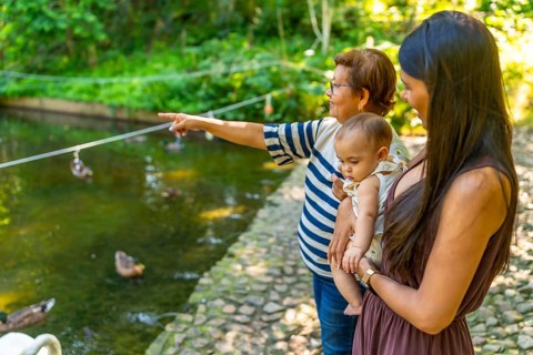Grandmother joyfully pointing at ducks while enjoying a sunny day at the park with her daughter and