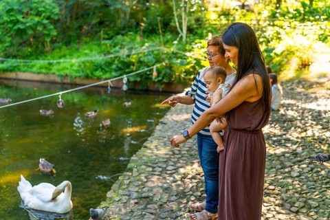 Grandmother, mother and granddaughter spending time together outdoors, feeding ducks and swans in a
