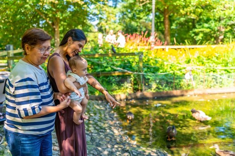 Grandmother, mother, and granddaughter enjoying a sunny day at the park, observing ducks swimming