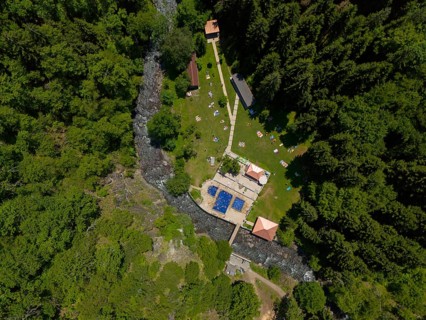 Aerial view of a forest area with swimming pool and river, surrounded by dense trees and buildings,