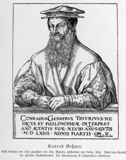 Konrad Geßner (1516-1565) from Könnecke Bilderatlas zur Geschichte der Deutschen Litteratur