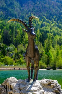Ibex sculpture at Jasna Lake in Triglav National Park, Kranjska Gora, Upper Carniola, Julian Alps,