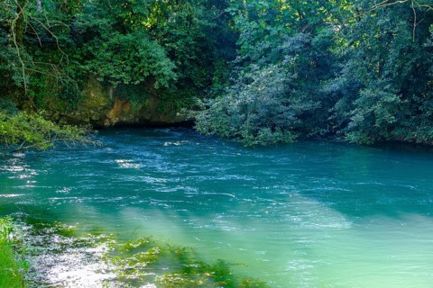 Bocche del Timavo, karst spring, San Giovanni di Duino, near Duino, Friuli-Venezia Giulia, Italy
