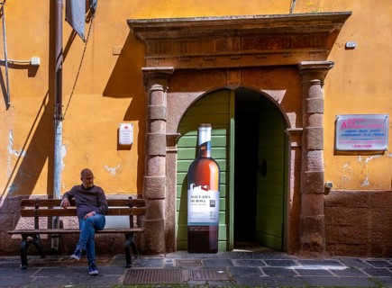 Sardinia, house with picturesque door and wine bottle poster, Bosa, Europe, Province of Oristano,