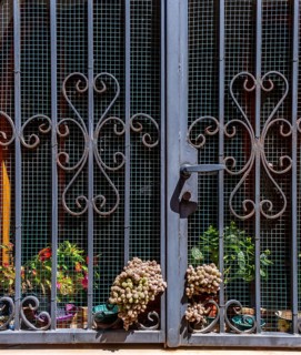 Sardinia, windows with iron door decorations and plants, Bosa, Europe, Province of Oristano, Italy,