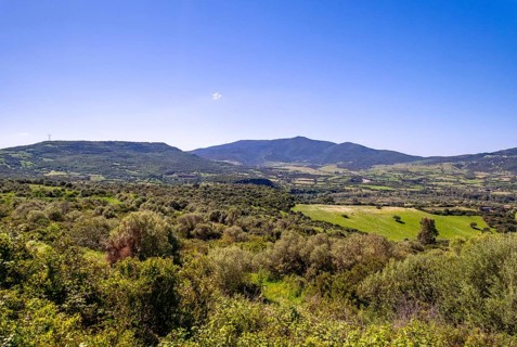Sardinia, wide landscape meadows and fields, with mountains in the background, blue sky,