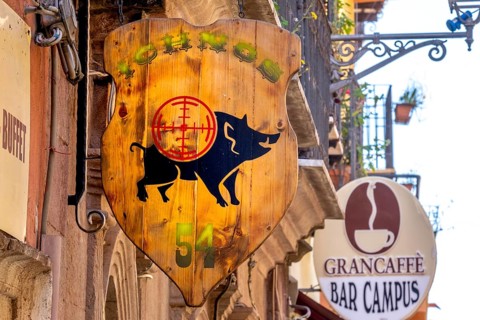 Sardinia, business sign with wild boar and target, Bosa, Europe, province of Oristano, Italy,