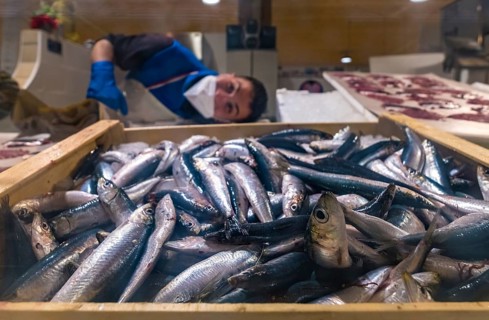 Sardinia, street market and fish market, Alghero, Europe, province of Sassari, Italy, ambience,