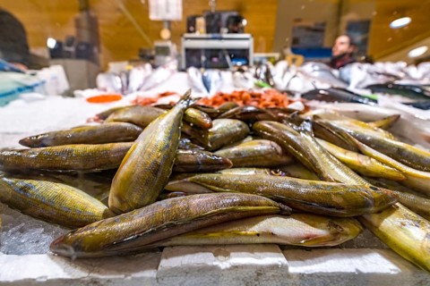 Sardinia, street market and fish market, Alghero, Europe, province of Sassari, Italy, architecture,