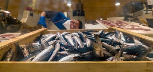 Sardinia, street market and fish market, Alghero, Europe, province of Sassari, Italy, atmosphere,