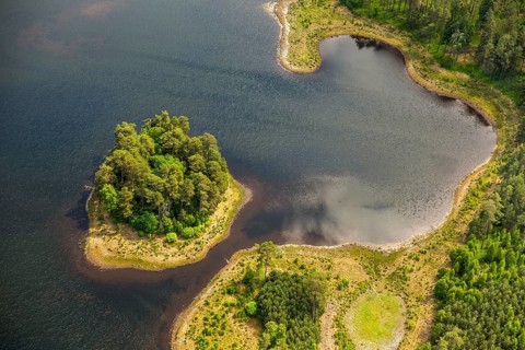 Lakeland, Pomerania, reflection, wooded island, ChoÅ'nica, Baltic Sea coast, pomorskie, Poland,