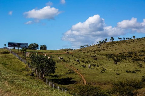 Cattle pasture between Santa Clara and Trinidad Ingenios Valley, Valle de los Ingenios, country