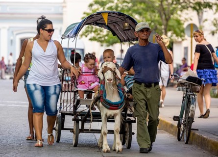 &lt, children's amusement, children's carriage pulled by a goat, streetlife in the city centre of