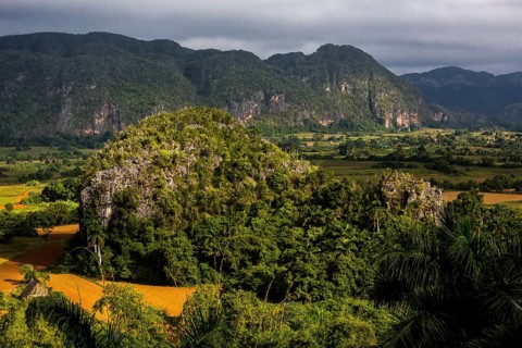 Tobacco fields and the mountains of the Mogotes, Viñales valley with karst mountains, Viñales,