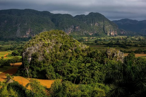 Tobacco fields and the mountains of the Mogotes, Viñales valley with karst mountains, Viñales,