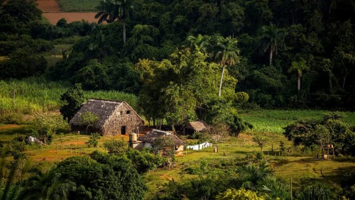 Farmhouse, farm cottage, barn for drying tobacco leaves, tobacco fields and the mountains of the