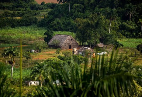 Farmhouse, farm cottage, barn for drying tobacco leaves, tobacco fields and the mountains of the