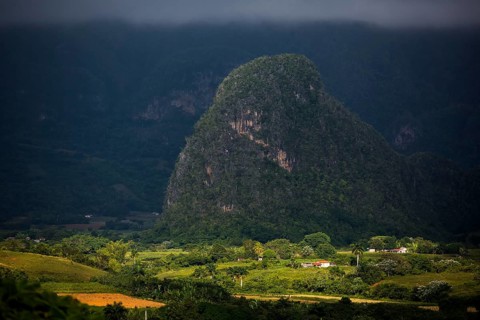 Tobacco fields and the mountains of the Mogotes, Viñales valley with karst mountains, Viñales,