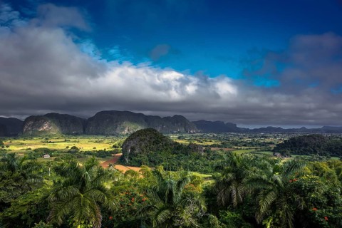 Tobacco fields and the mountains of the Mogotes, Viñales valley with karst mountains, Viñales,