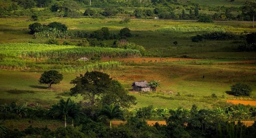 Farmhouse, farm cottage, barn for drying tobacco leaves, tobacco fields and the mountains of the