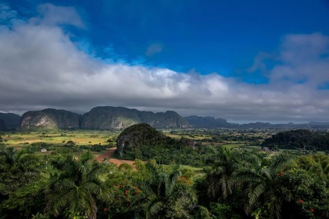 Tobacco fields and the mountains of the Mogotes, Viñales valley with karst mountains, Viñales,